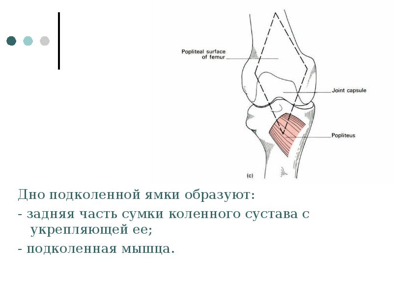 Подколенная ямка схема