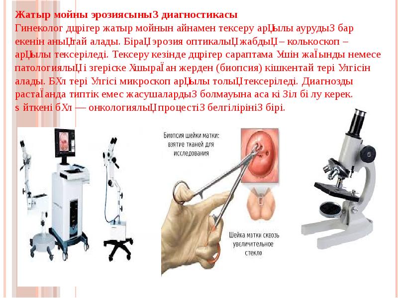 Жатыр ішілік даму кезеңдері презентация