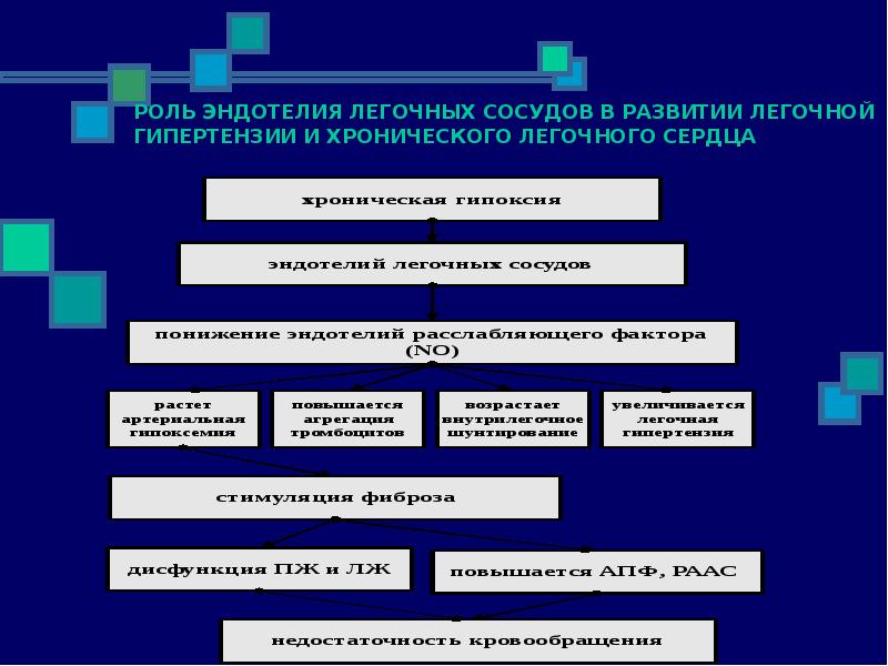 Хроническое легочное сердце патогенез. Дыхательная недостаточность легочное сердце презентация. Признаки легочного сердца. Какие процессы лежат в основе формирования легочного сердца. Рефлекс задействован в развитии легочной гипертензии.