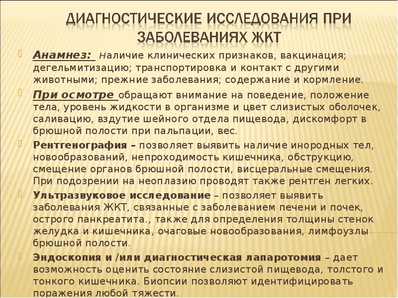 Содержание заболевание. Заболевания желудочно кишечного тракта собак. Болезни органов пищеварения у собак. Расстройства ЖКТ У собак. Болезни органов пищеварения кошек и собак.