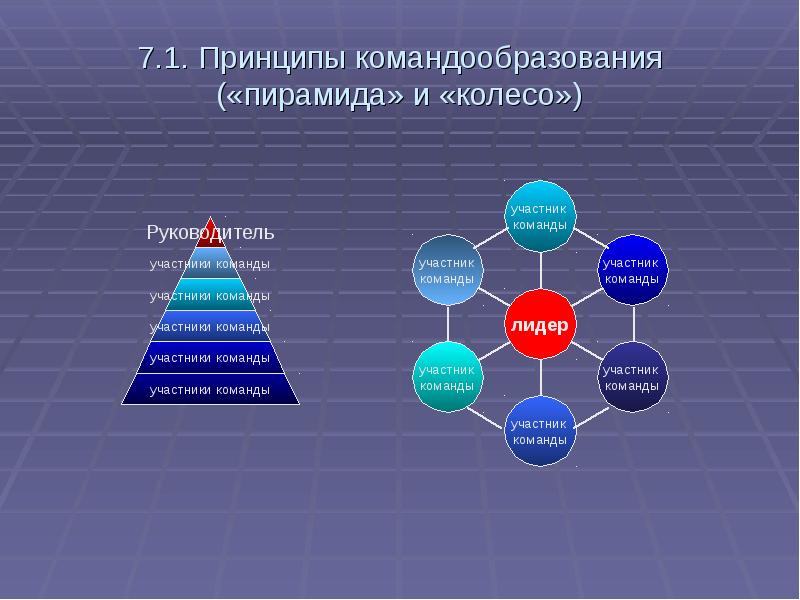 Управление командой проекта доклад