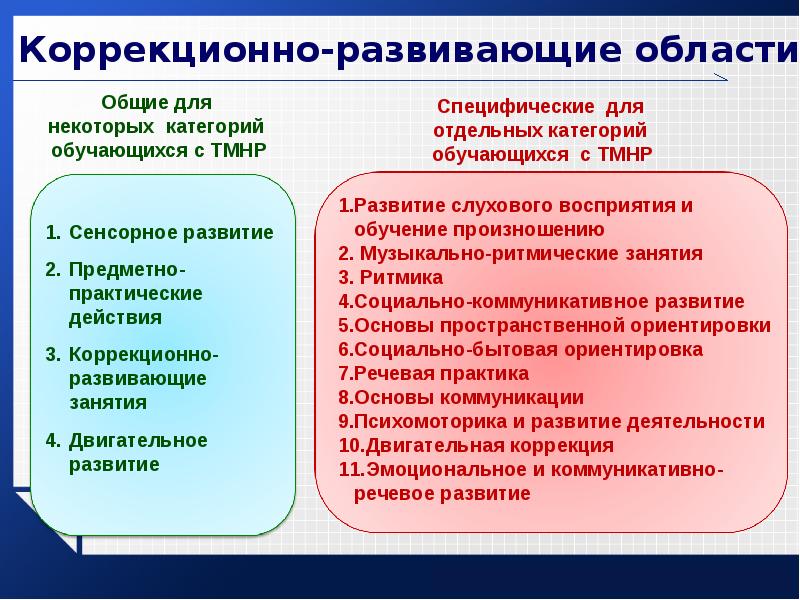 Специальный коррекционный прием обучения. Методы работы с детьми с ТМНР. Форма работы с детьми с ТМНР. Технологии коррекционно развивающей работы с детьми. Темы по работе с детьми с ТМНР.