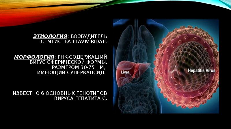 Аутоиммунный гепатит презентация