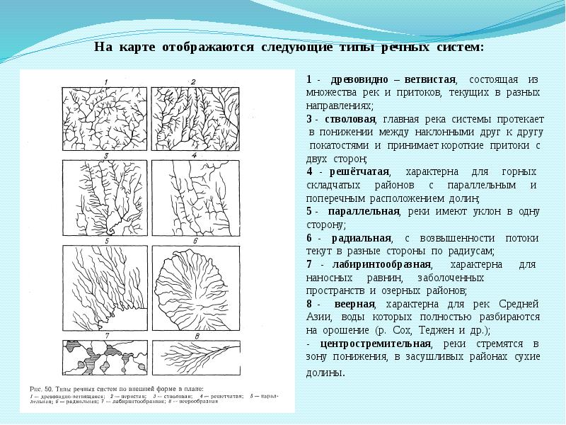 Перистая под цифрой 2. Типы речных систем. Виды Речной сети. Древовидный Тип Речной системы. Характер Речной сети.