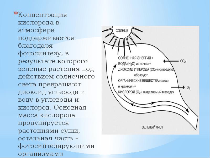 Круговорот кислорода фото