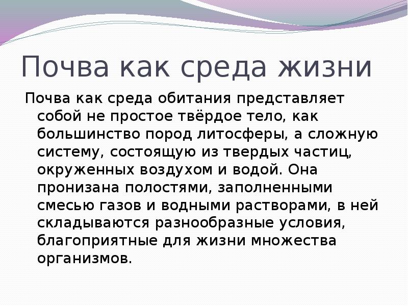 Конкурс почва жизнь результаты. Конкурс почва жизнь результаты