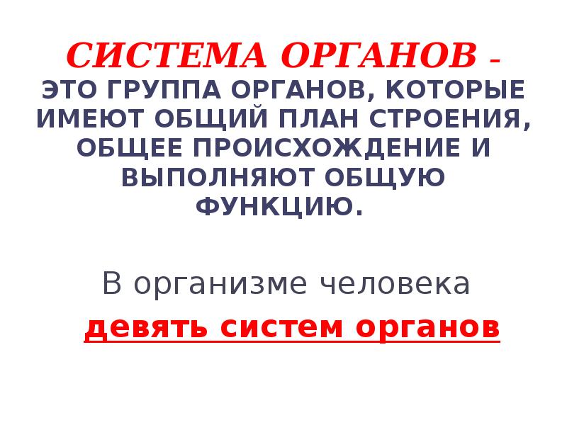 Группы органов