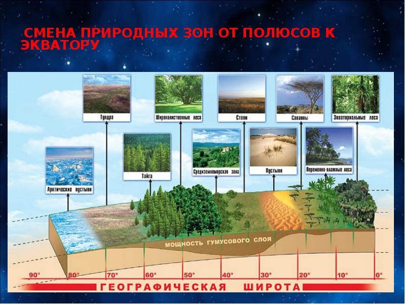 Проект по географии природные зоны земли