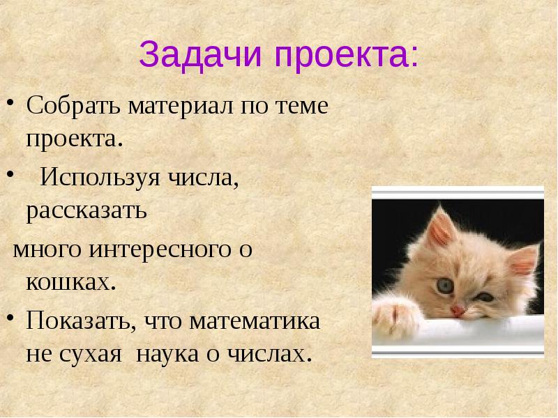 Презентация о кошках 4 класс