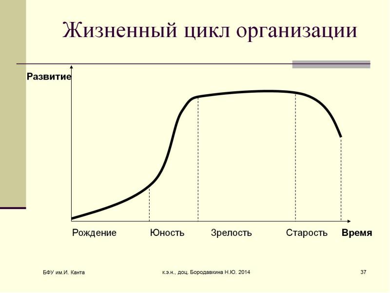 Схема жизненного цикла организации