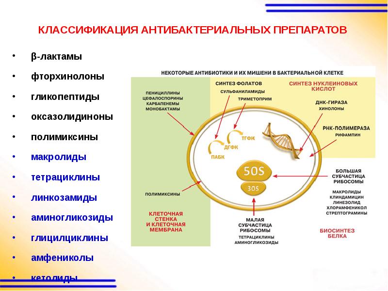 Механизм действия антимикробных препаратов. Классификация противомикробных средств. Классификация антибактериальных средств. Классификация антимикробных препаратов. Противомикробные препараты классификация.