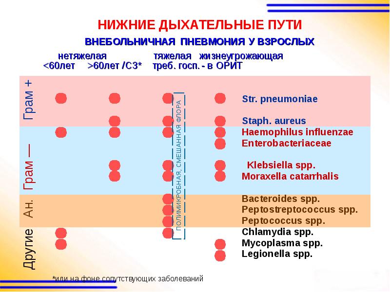 Противоинфекционные средства проект