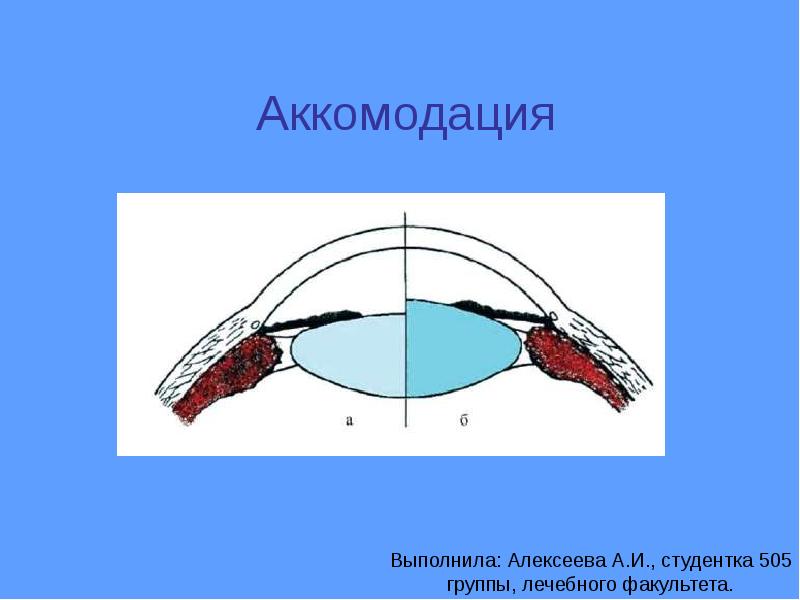 Атропин аккомодация