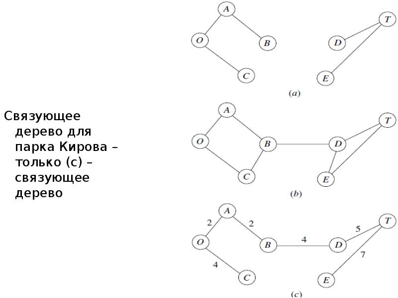 Связующее дерево для парка Кирова – только (с) – связующее дерево