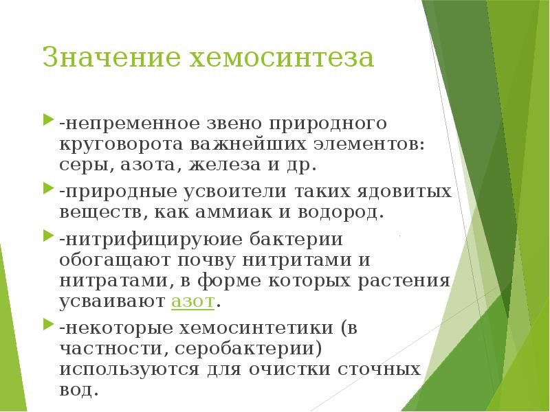 Хемосинтез в природе. Значение хемосинтеза. Роль хемосинтеза в жизни человека. Экологическая роль хемосинтеза. Роль хемосинтеза в природе.