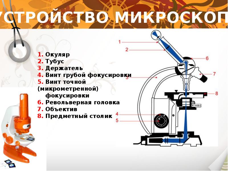 Презентация по физике микроскоп