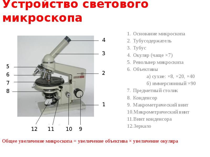 Какую функцию выполняет основание микроскопа при работе