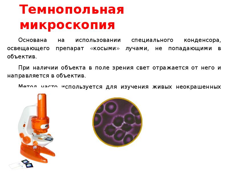 Современные методы микроскопии