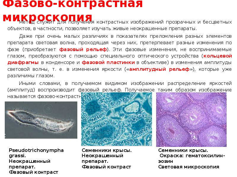 Микроскопия принцип метода