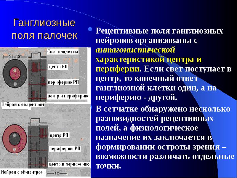 Центра характеристики