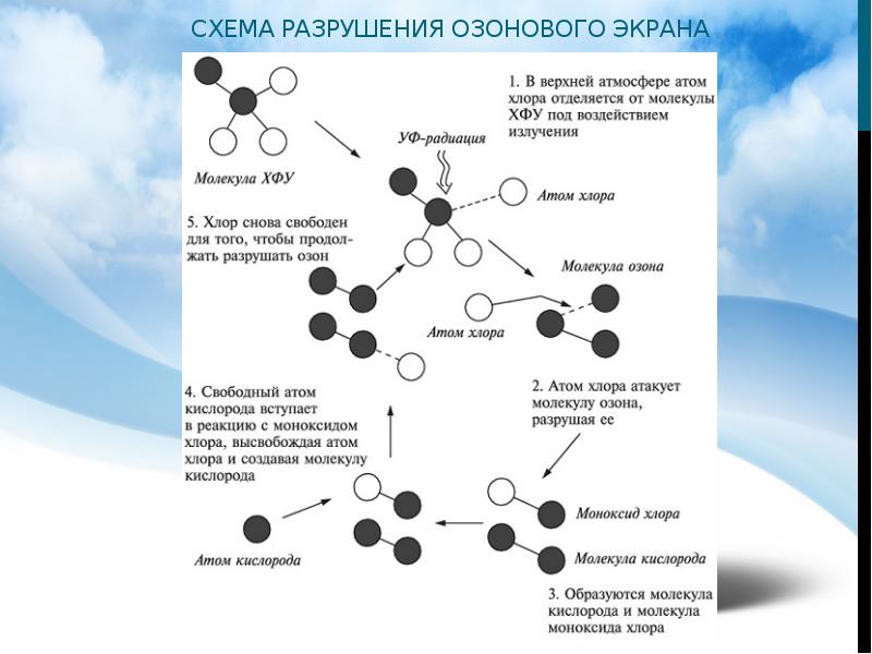 Выберите на схеме процессы связанные с озоновым поясом планеты