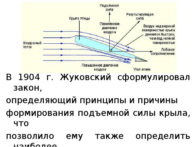 Сила крыла. Аэродинамика крыла подъемная сила. Жуковский подъемная сила крыла. Подъемная сила крыла птицы. Условия возникновения подъемной силы крыла.