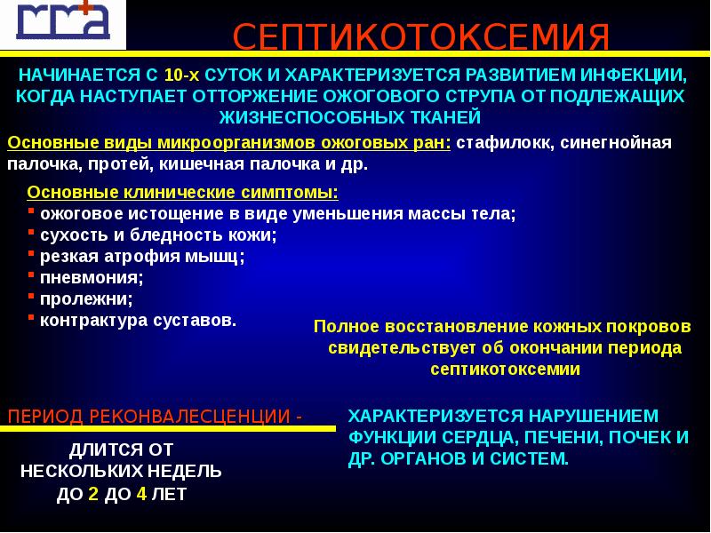 Клиническая картина септикотоксемии