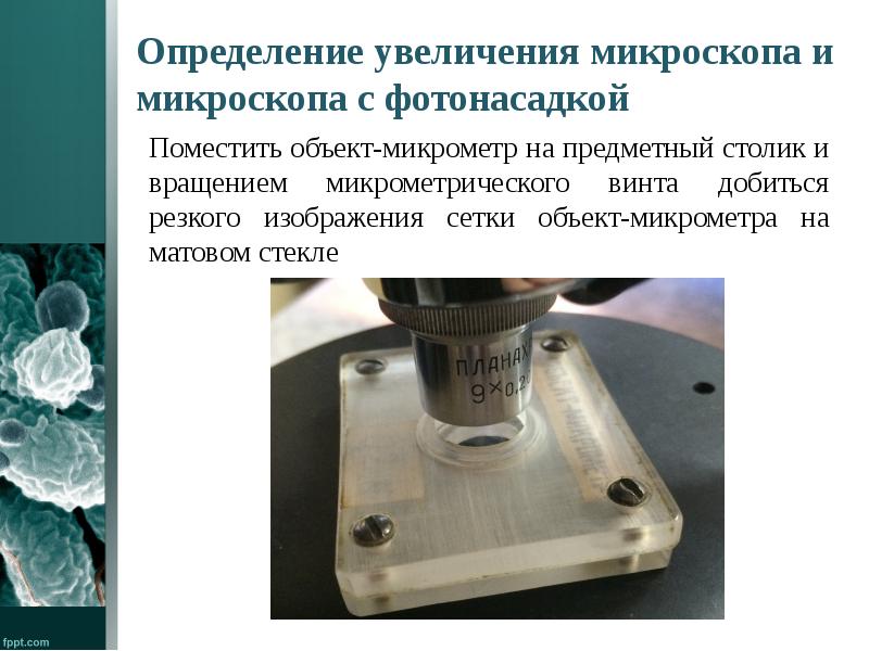 Получить объемное изображение исследуемого объекта можно с помощью микроскопа