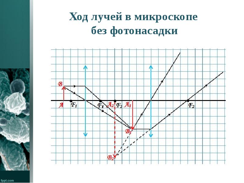 Рисунок ход лучей в микроскопе