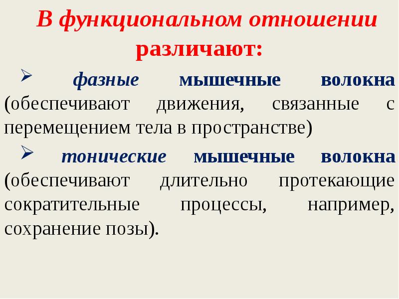 Обеспечивают функциональную. Фазные и тонические мышечные волокна. Фазные и тонические мышцы. Фазные и тонические мышечные сокращения. Классификация мышечных волокон.