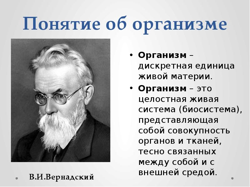 Организм открытая живая биосистема. Биосистема организм. Организм как биосистема. Понятие биосистемы. Организм как Живая биосистема.