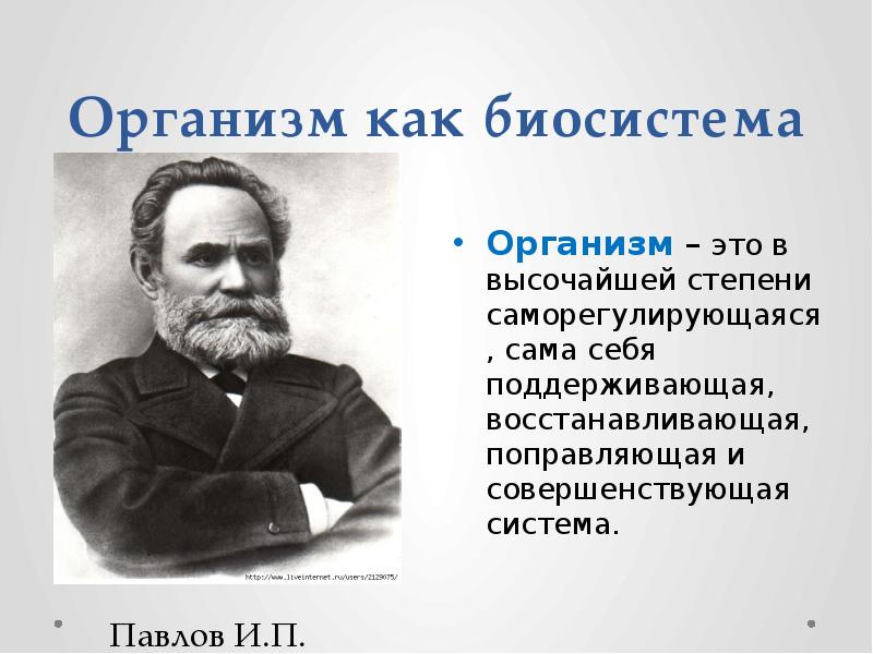 Высшая стадия. Биосистема человека. Биосистема организм. Организм человека как биосистема. Организм как открытая биосистема.