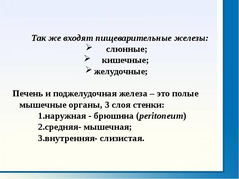 Какие железы входят в пищеварительную систему