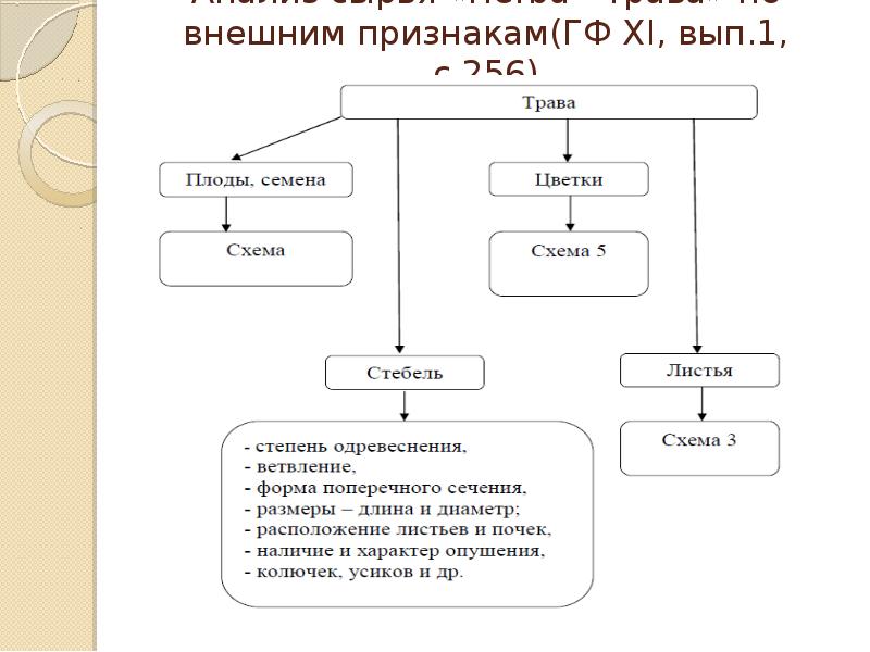 Схема приемки цельного лекарственного растительного сырья