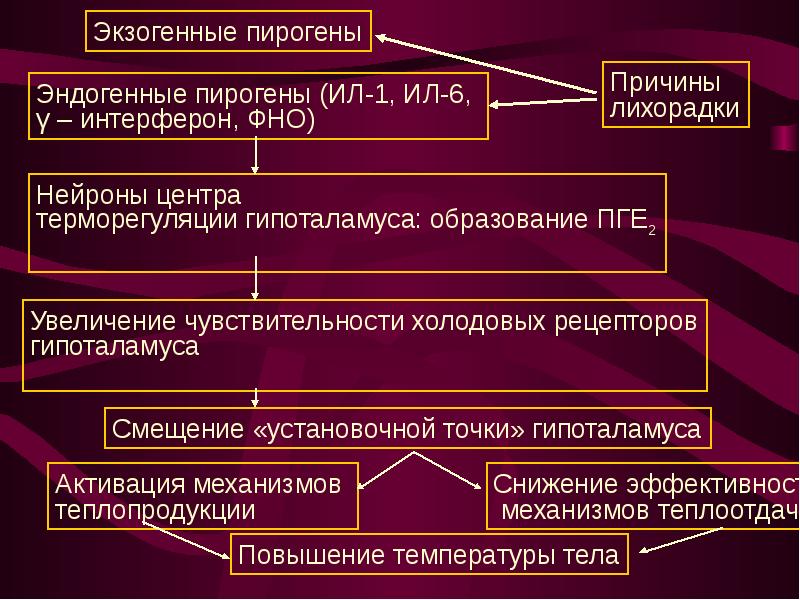 Терморегуляция презентация по патологии