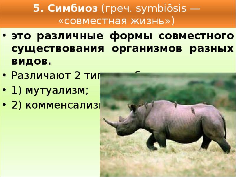 Совместное существование организмов