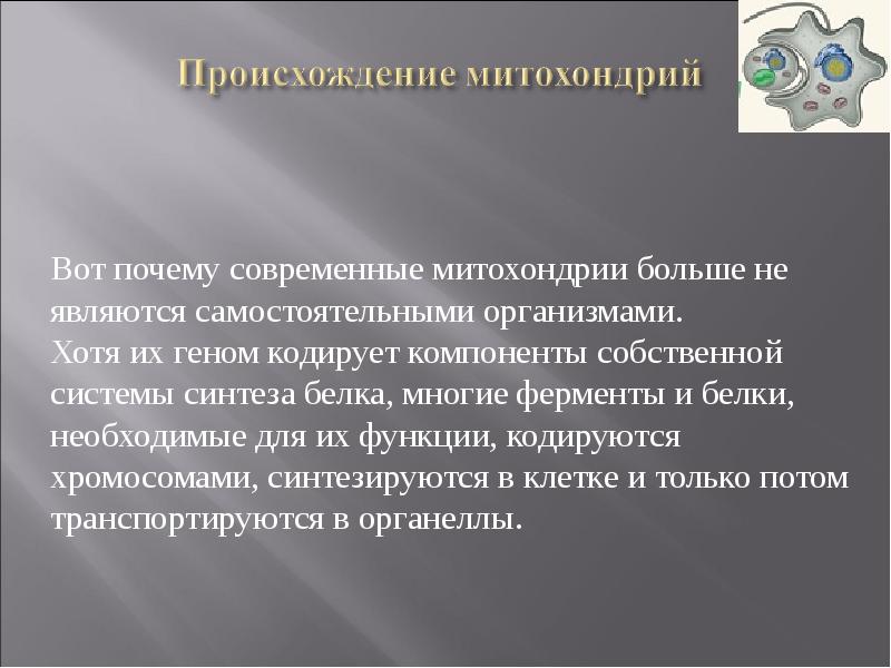 Функции происхождение. Происхождении функции.