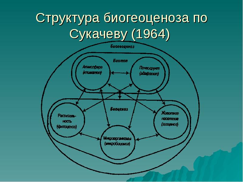 Естественный биоценоз презентация