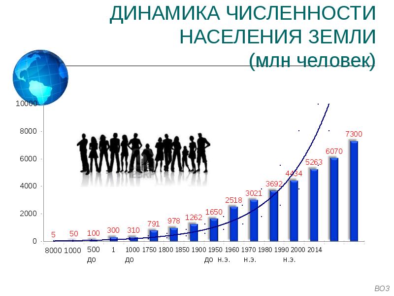 Сколько челок в мире