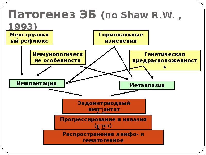 Патогенез ЭБ (по Shaw R.W. ,1993)