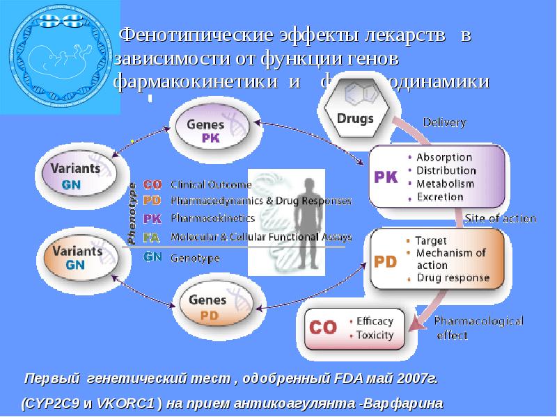 Фармакогенетика и фармакогеномика презентация