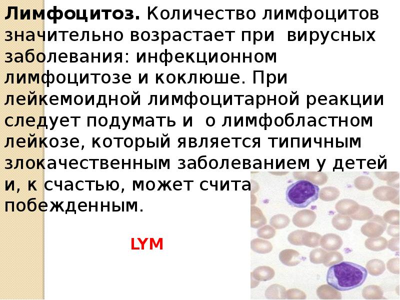 Инфекция в крови у ребенка что это. Механизм развития лимфоцитоза. Лимфоцитоз заболевания. Лимфоцитоз в крови заболевания. Малосимптомный инфекционный лимфоцитоз.
