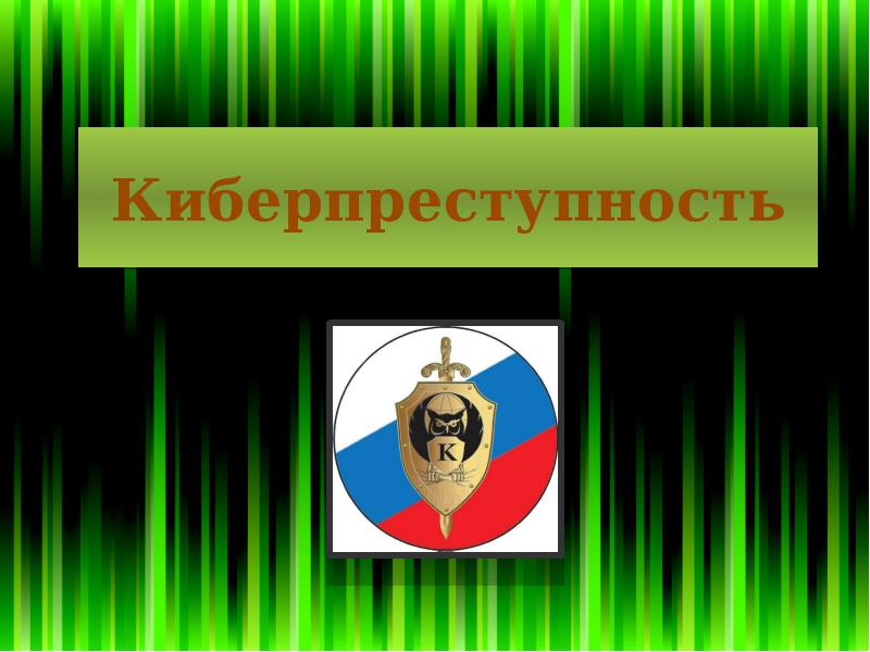 Проект на тему борьба с киберпреступностью