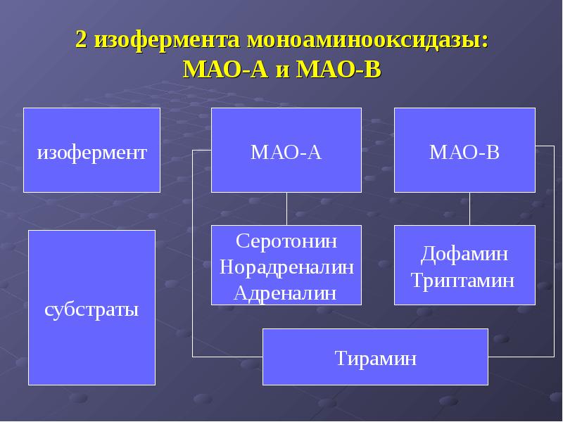 Необратимые мао. Субстраты Мао. Субстратами моноаминооксидазы. Антидепрессанты группы Мао. Мао норадреналин.