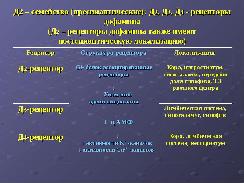 Принципы объединение сетей на основе протоколов. Д2 рецепторы локализация. Дофаминовые д2 рецепторы локализация. Принципы объединение сетей на основе протоколов. Динамическая локализация.