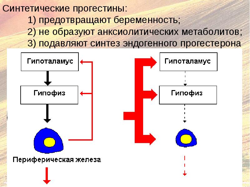 Эндокринная система гуморальная регуляция презентация 8 класс