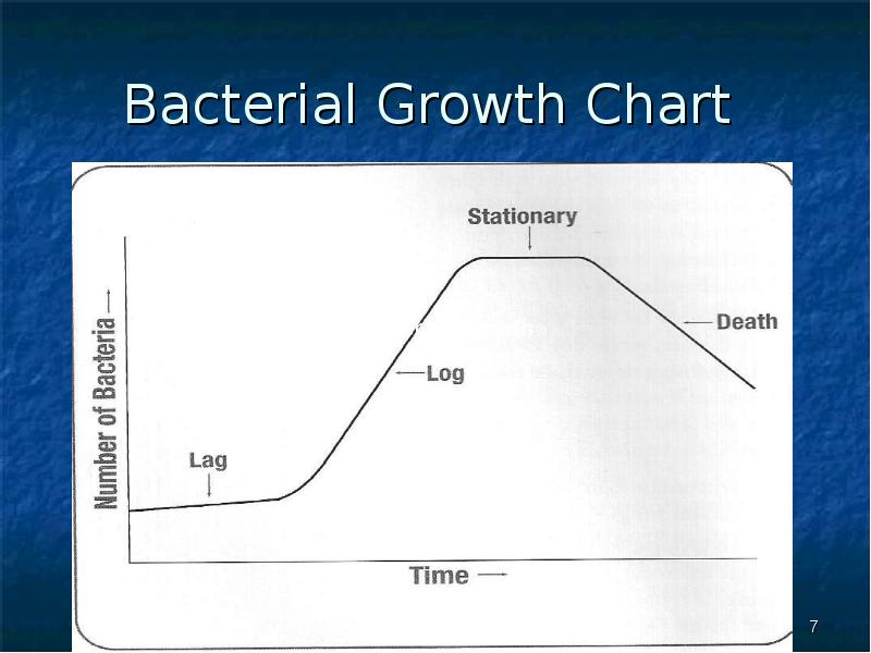 Growth chart. Bacterial growth. growth chart food.
