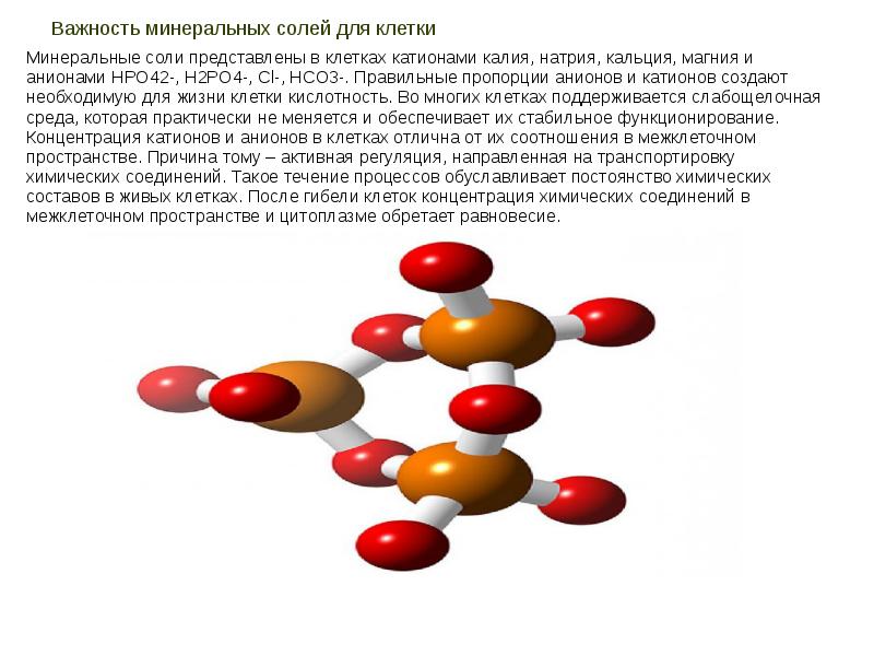 Клетки минеральных солей. Вывод о важности о неорганических веществ в жизни клетки. Постоянство химического состава клетки. Минерализация клетки в природе. Средой для клеточных химических реакций является:.