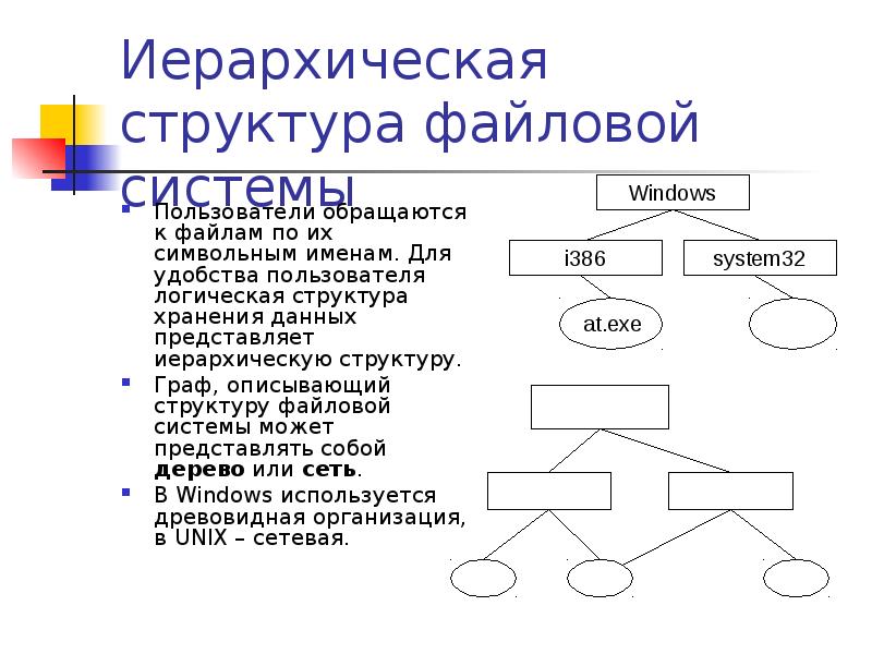 Иерархическая структура это. Иерархическая структура. Иерархическая структура системы. Иерархическая файловая структура. Структурная организация файловой системы.