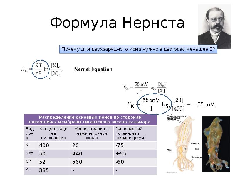 Схема линдемана физическая химия